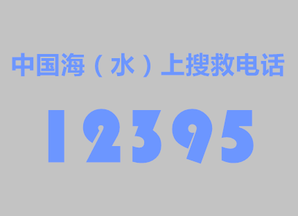 12395.png