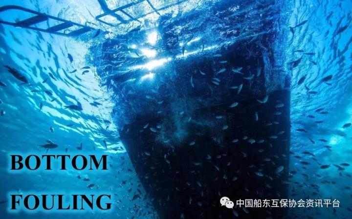封面.jpg